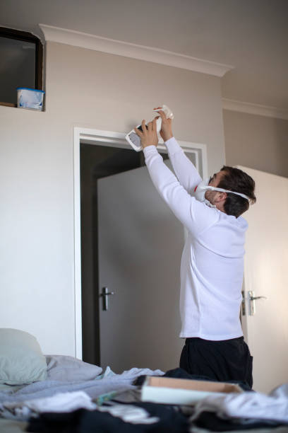 Best Asbestos and Lead Testing During Mold Inspection  in Oak Park Heights, MN