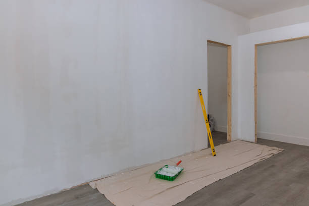 Best Basement Mold Removal  in Oak Park Heights, MN