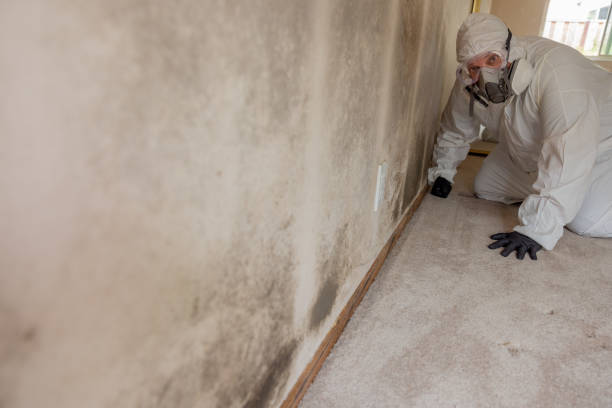 Best Air Quality Testing for Mold Spores  in Oak Park Heights, MN