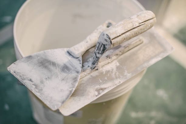 Best Environmental Consulting for Mold Prevention  in Oak Park Heights, MN